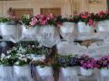 2014-Plant-Sale-2-baskets-for-sale-sm