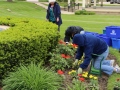 2015-Memorial-Garden-1