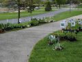 2017-Plant-Sale-5